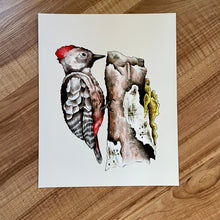 Load image into Gallery viewer, Woodpecker Art Print