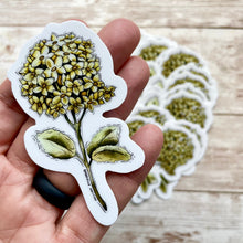 Load image into Gallery viewer, Amber Hydrangea - Vinyl Sticker (W)