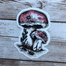 Load image into Gallery viewer, Mushrooms - Vinyl Sticker (W)