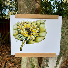 Load image into Gallery viewer, Sunflower #3 Art Print (W)