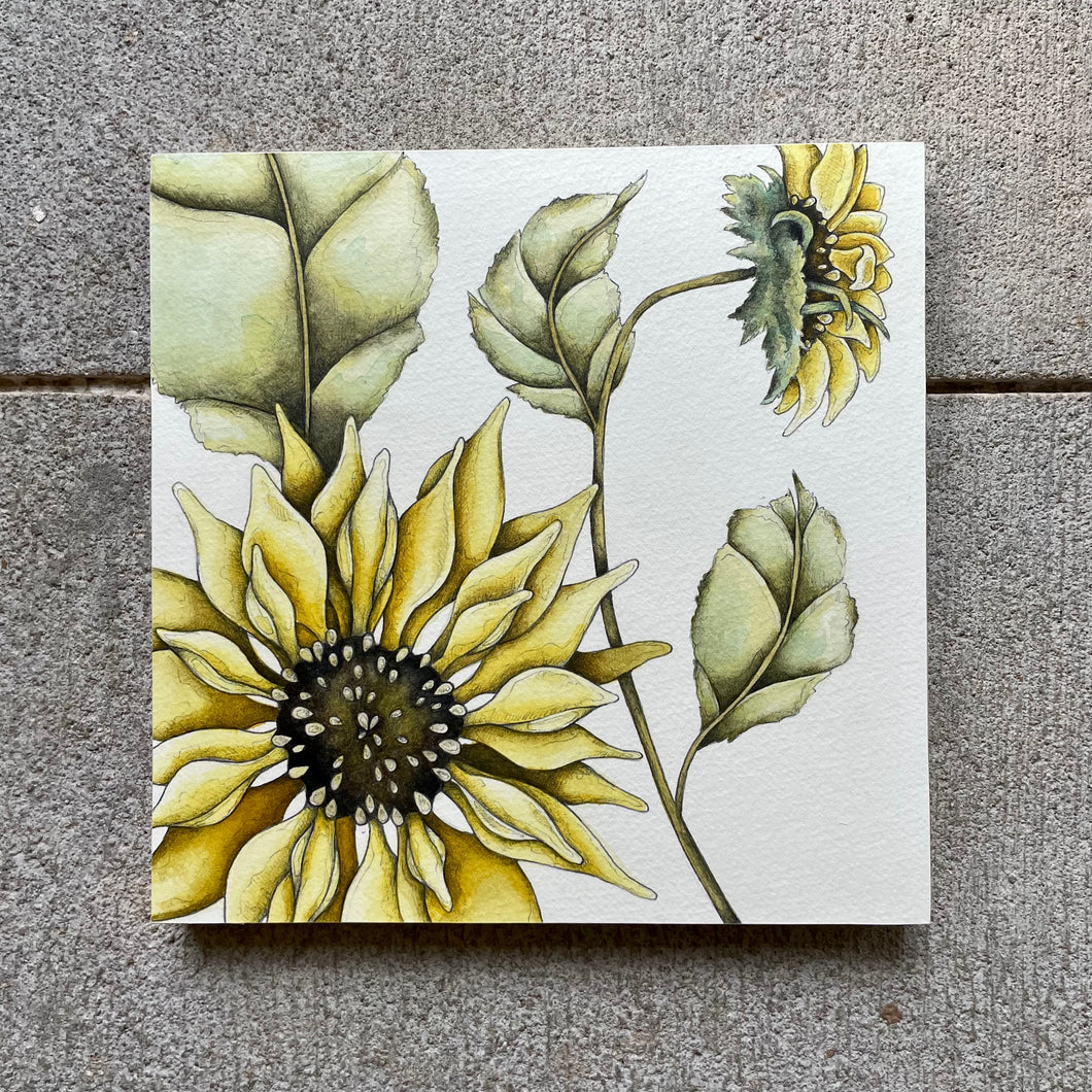 Sunflower Originals