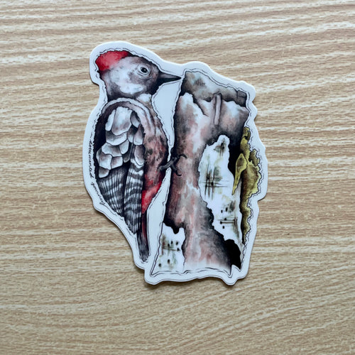 Woodpecker - Vinyl Sticker