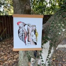 Load image into Gallery viewer, Woodpecker Art Print (W)