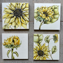 Load image into Gallery viewer, Sunflower Originals