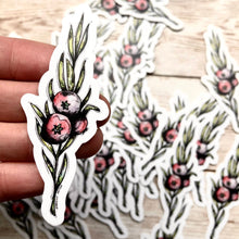 Load image into Gallery viewer, Winter Berry - Vinyl Sticker (W)