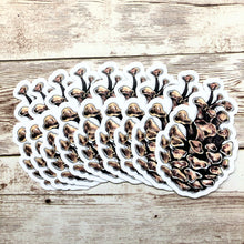 Load image into Gallery viewer, Pinecone - Vinyl Sticker