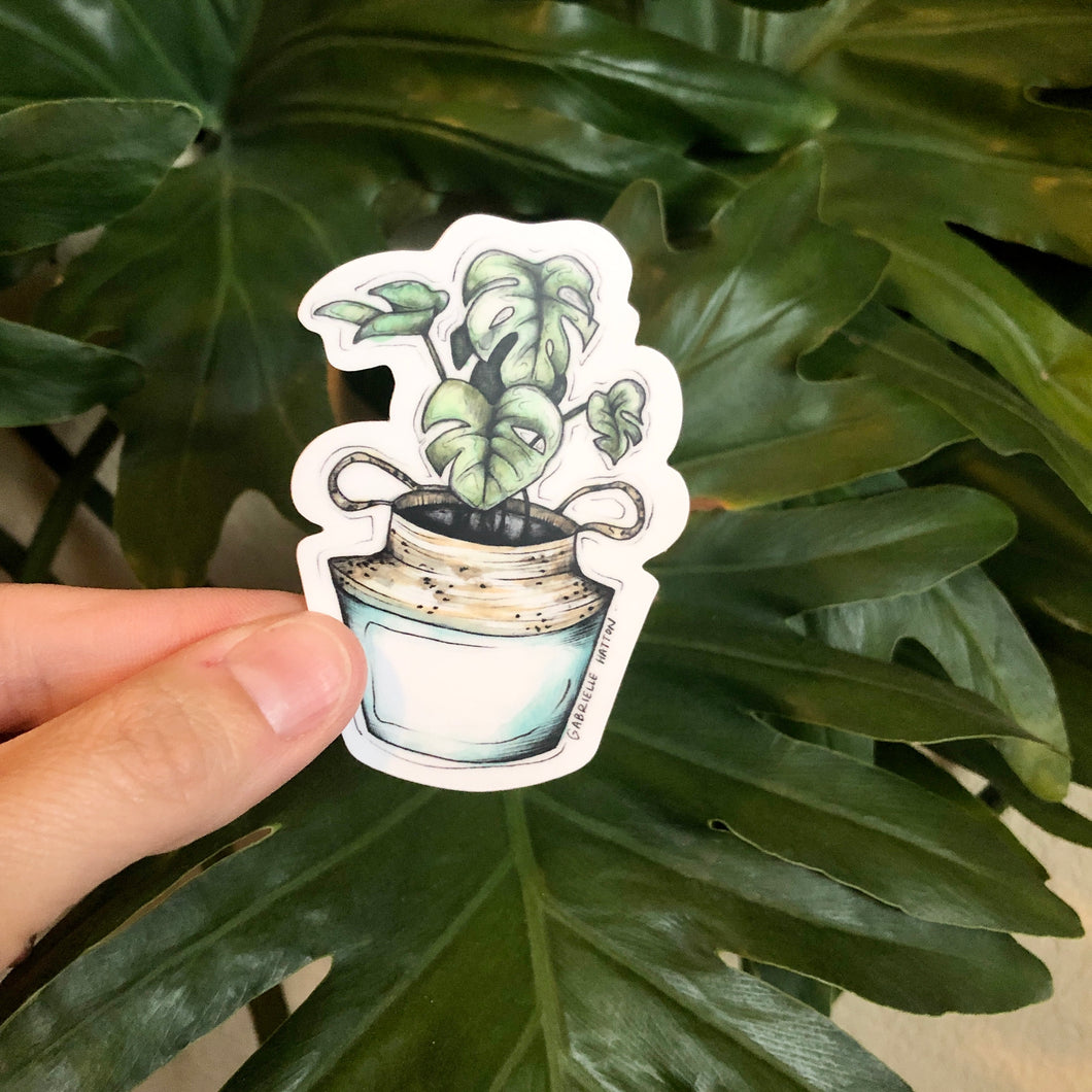 Monstera House Plant - Vinyl Sticker