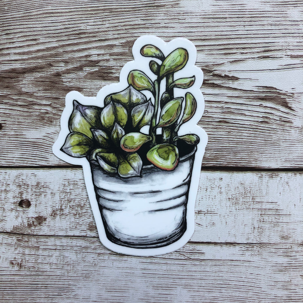 Succulent - Vinyl Sticker