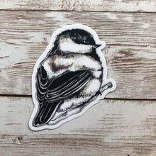 Load image into Gallery viewer, Chickadee - Vinyl Sticker (W)