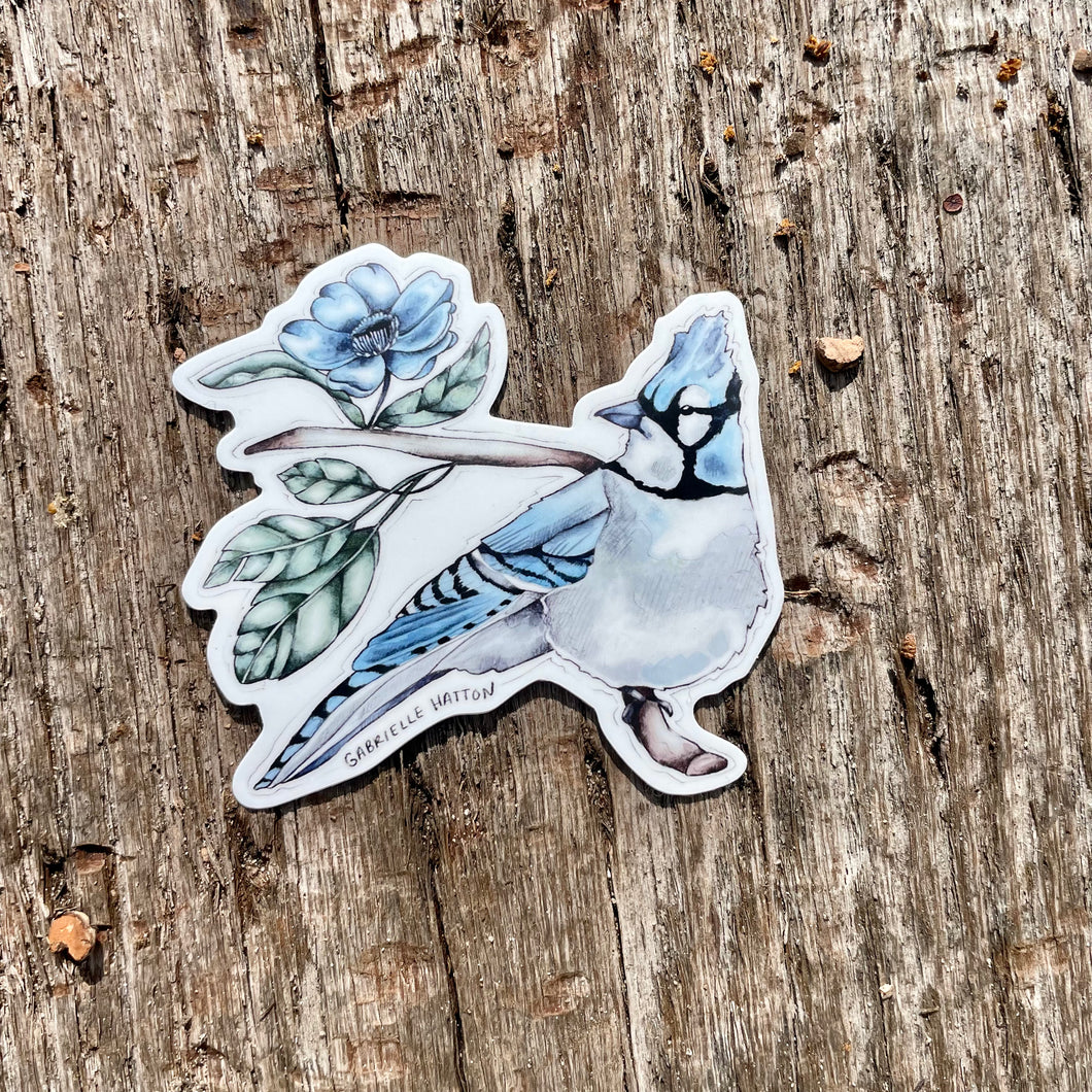 Blue Jay - Vinyl Sticker