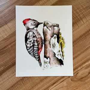 Woodpecker Art Print